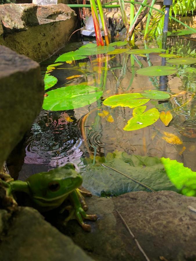 Whitsundays Bnb Retreat Airlie Beach Exteriér fotografie