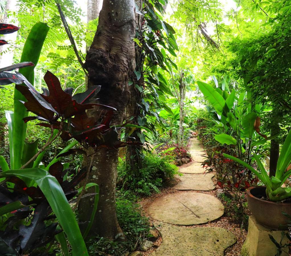 Whitsundays Bnb Retreat Airlie Beach Exteriér fotografie